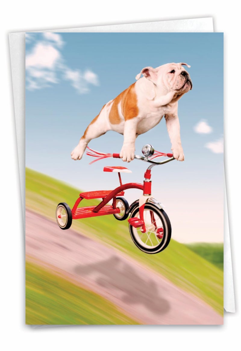 NobleWorks - 1 Adorable Birthday Card Funny - Pet Dog Animal Humor, Bday Notecard with Envelope - Dog on Trike C3204BDG - Image 1